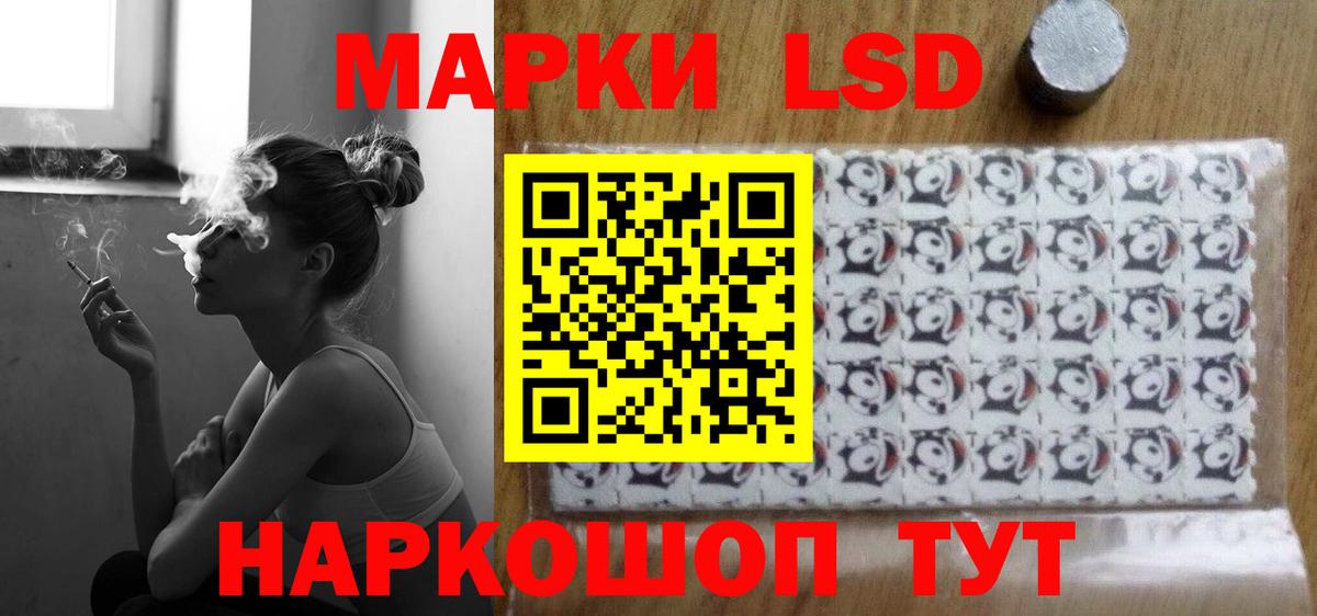 A PVP Будённовск