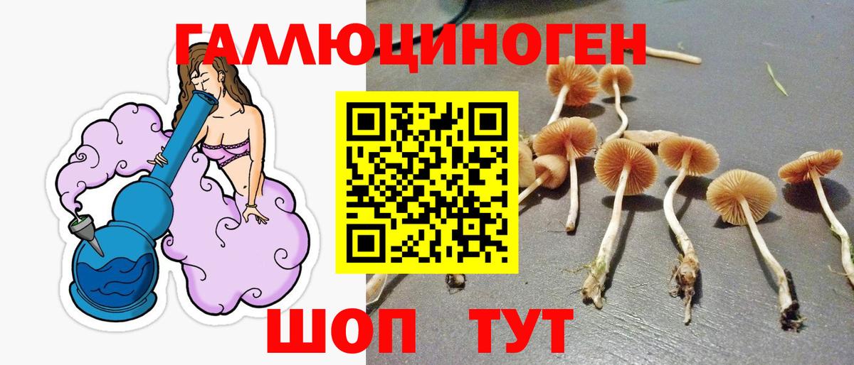 Галлюциногенные грибы MAGIC MUSHROOMS Будённовск