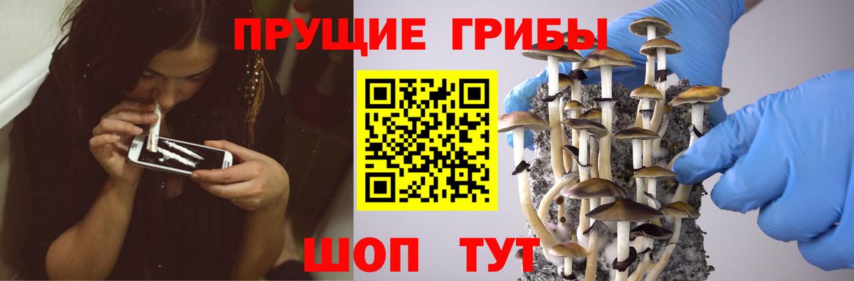 Галлюциногенные грибы MAGIC MUSHROOMS  Вход с VPN  Будённовск 